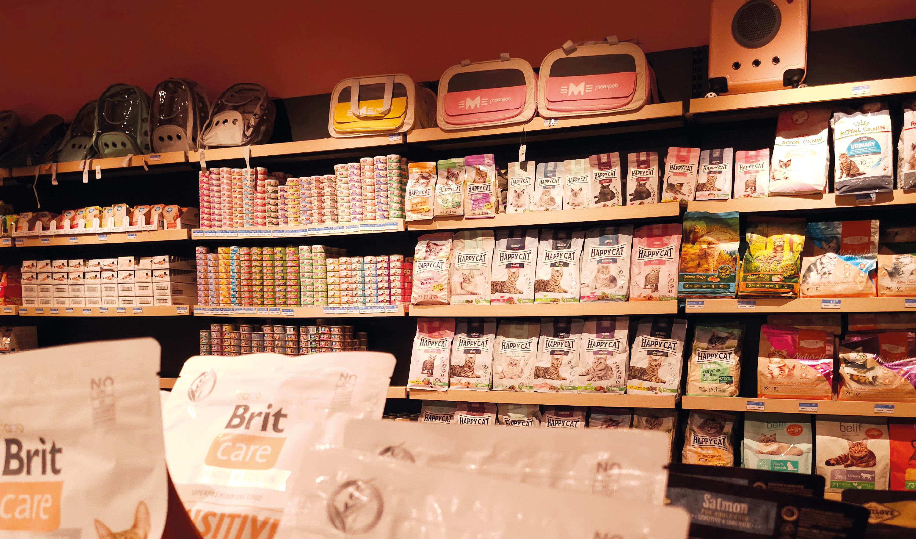 Paradise For Pet Enthusiasts - Detail