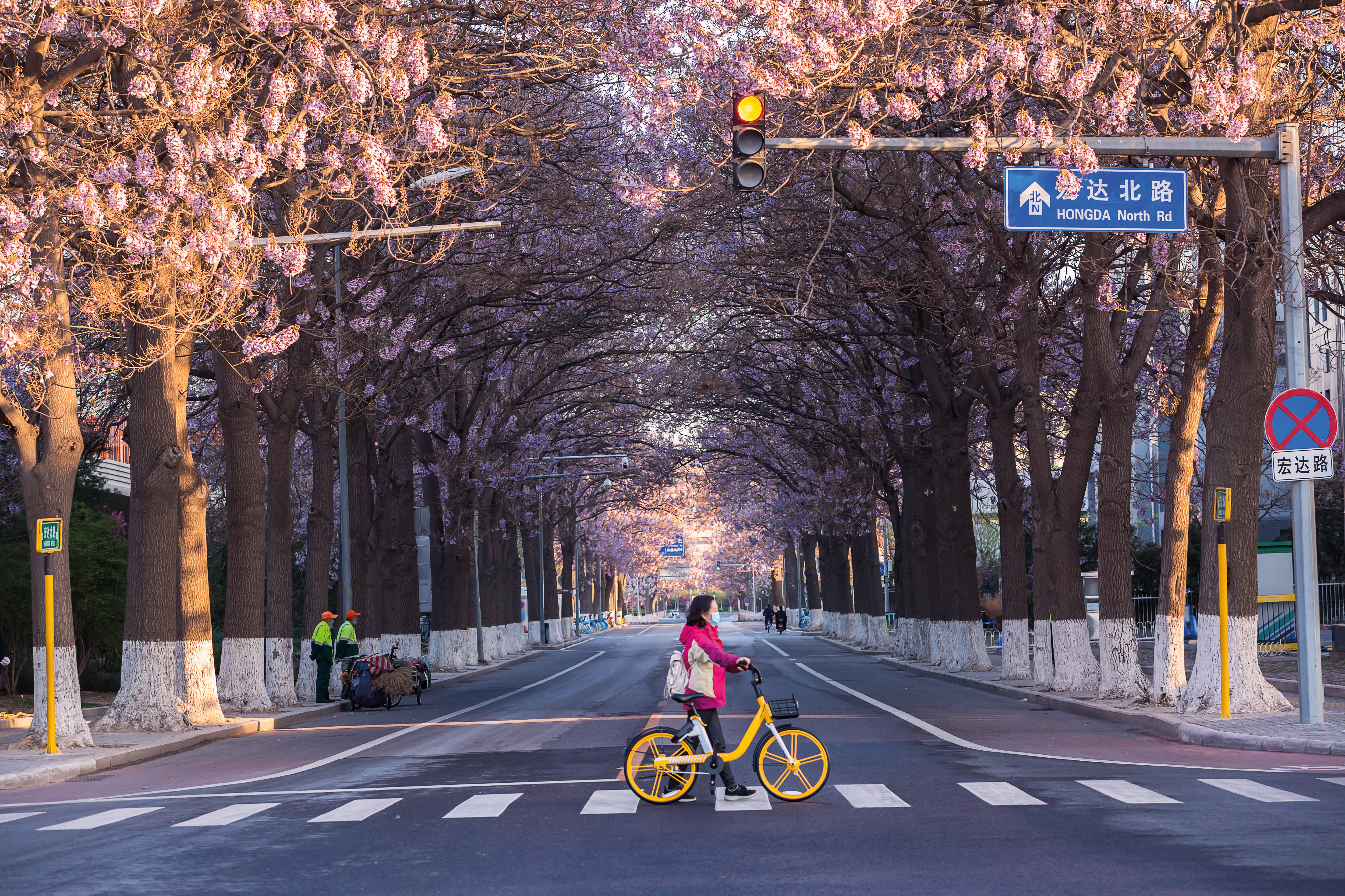 Bicycle-Friendly Destinations Around the World - Detail