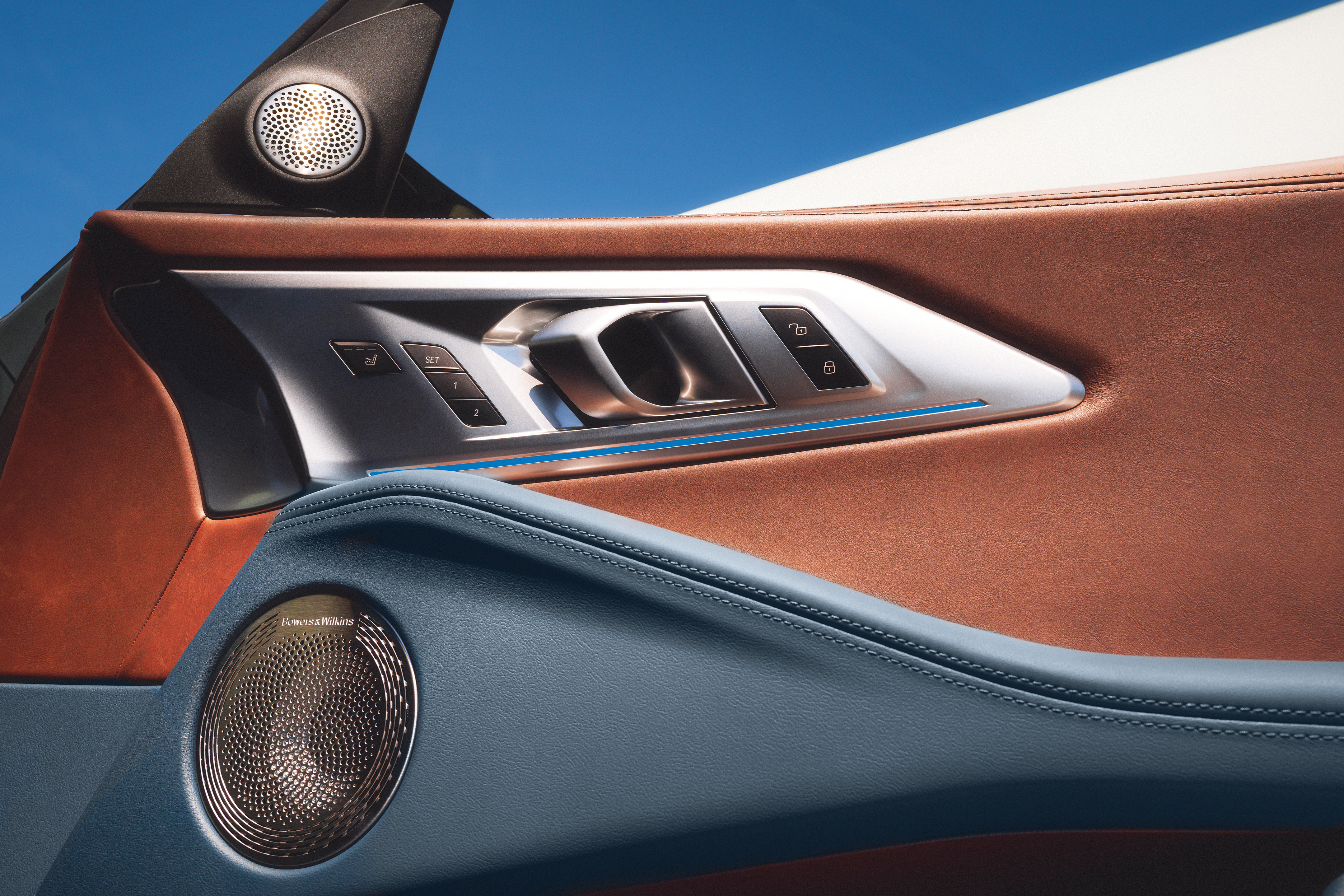 Stunning SAV - Detail