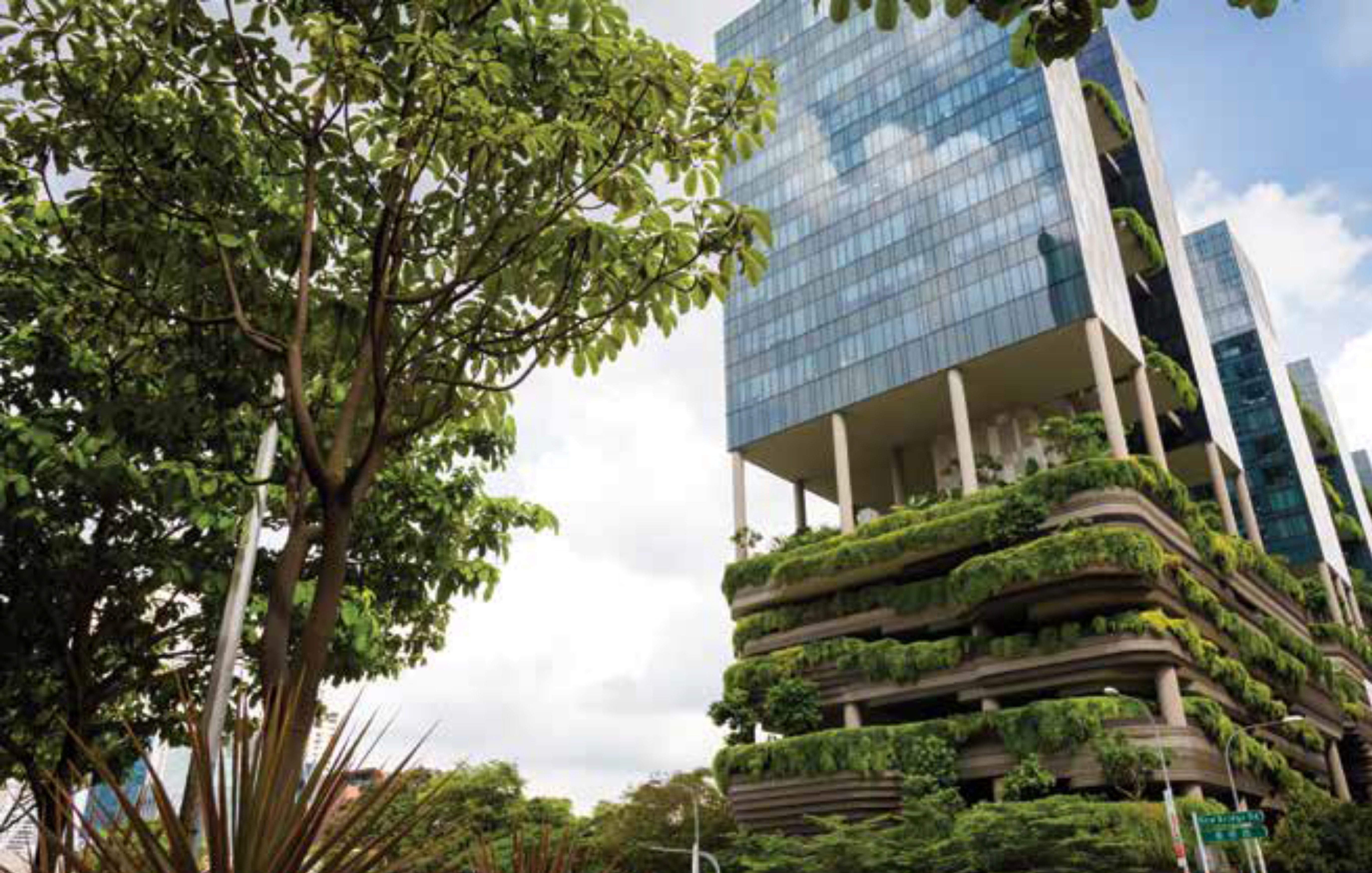 Designing for the Deluge