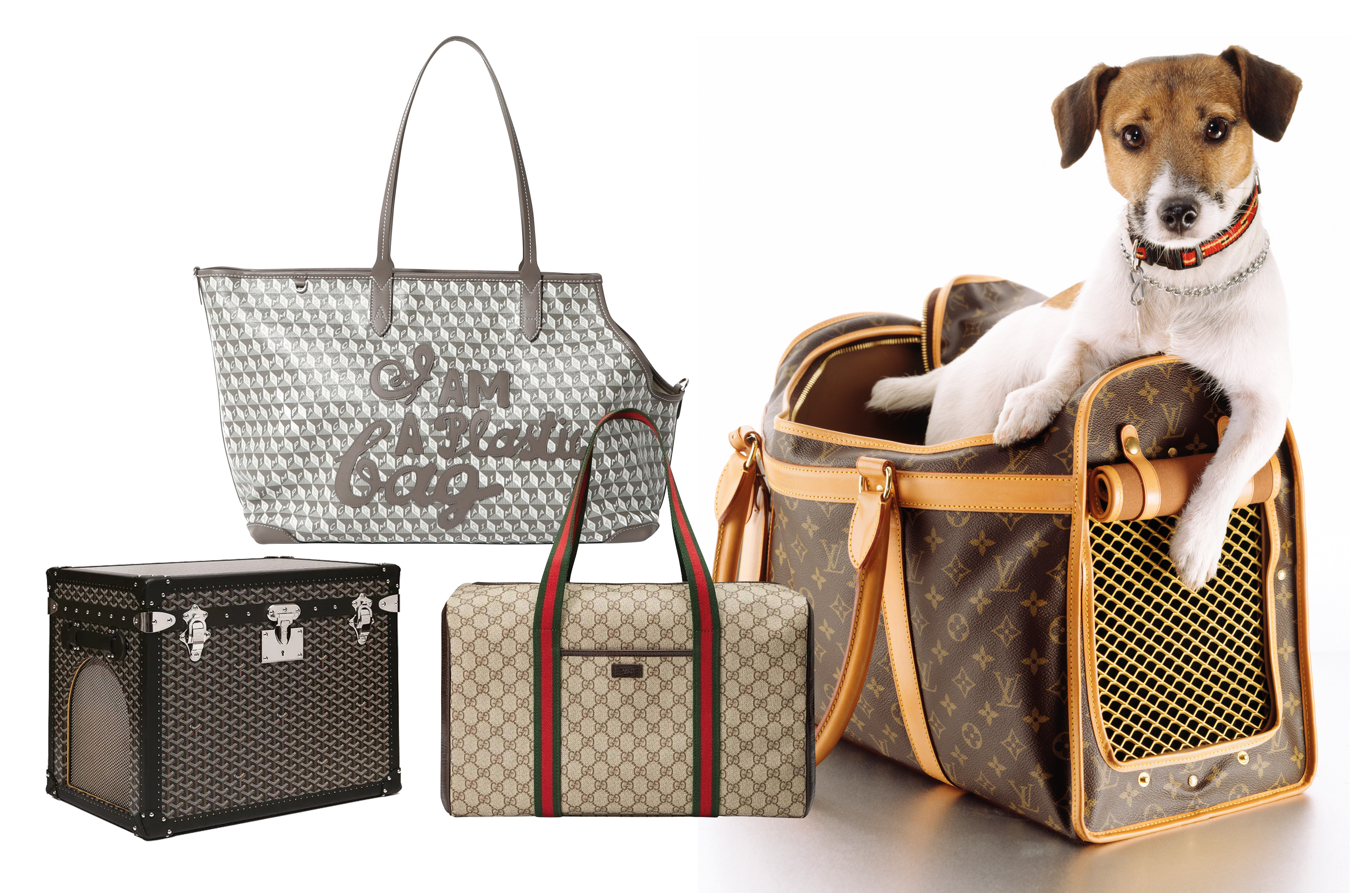 Chic Pet Carriers - Detail