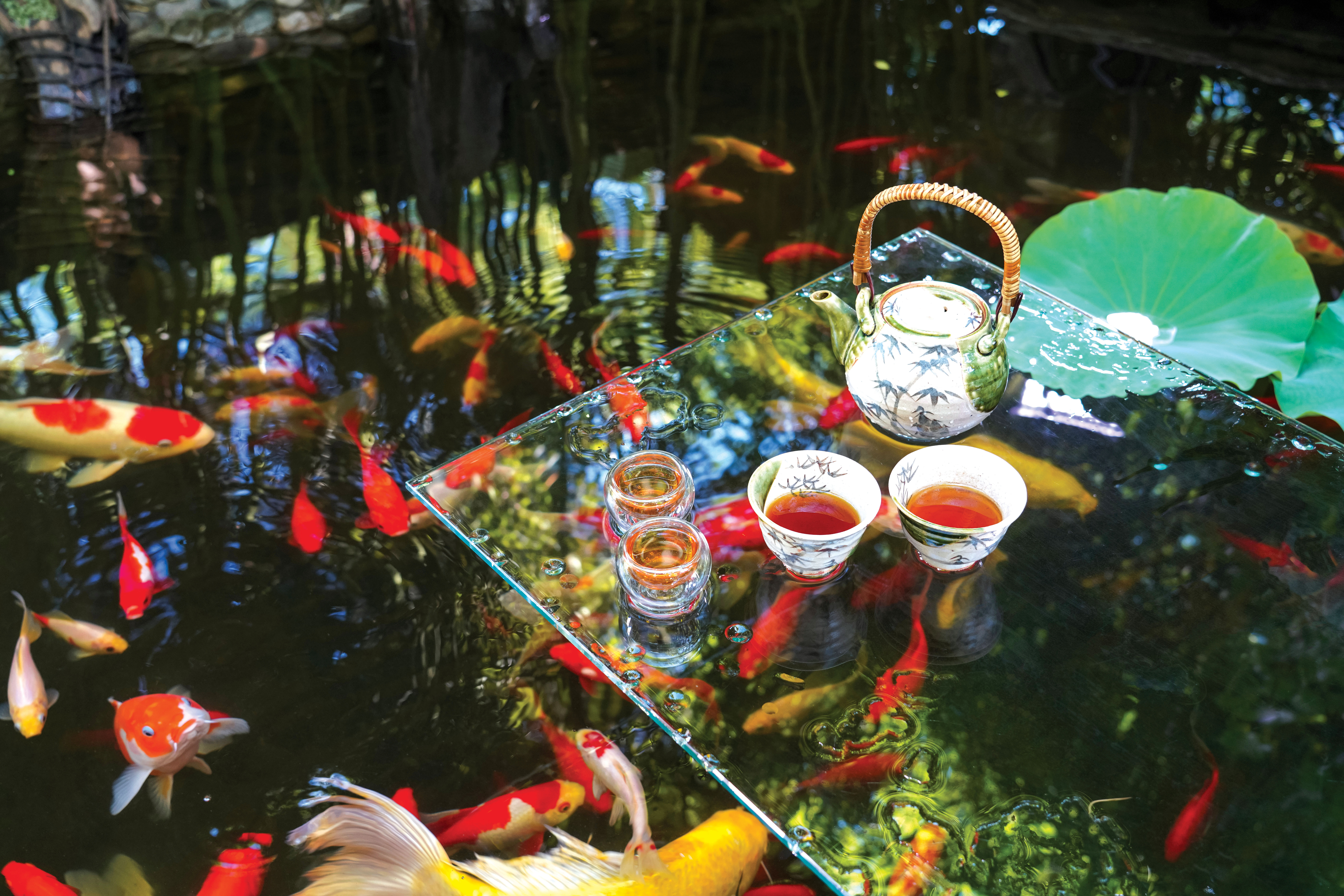 Feng Shui-Friendly Fish - Detail