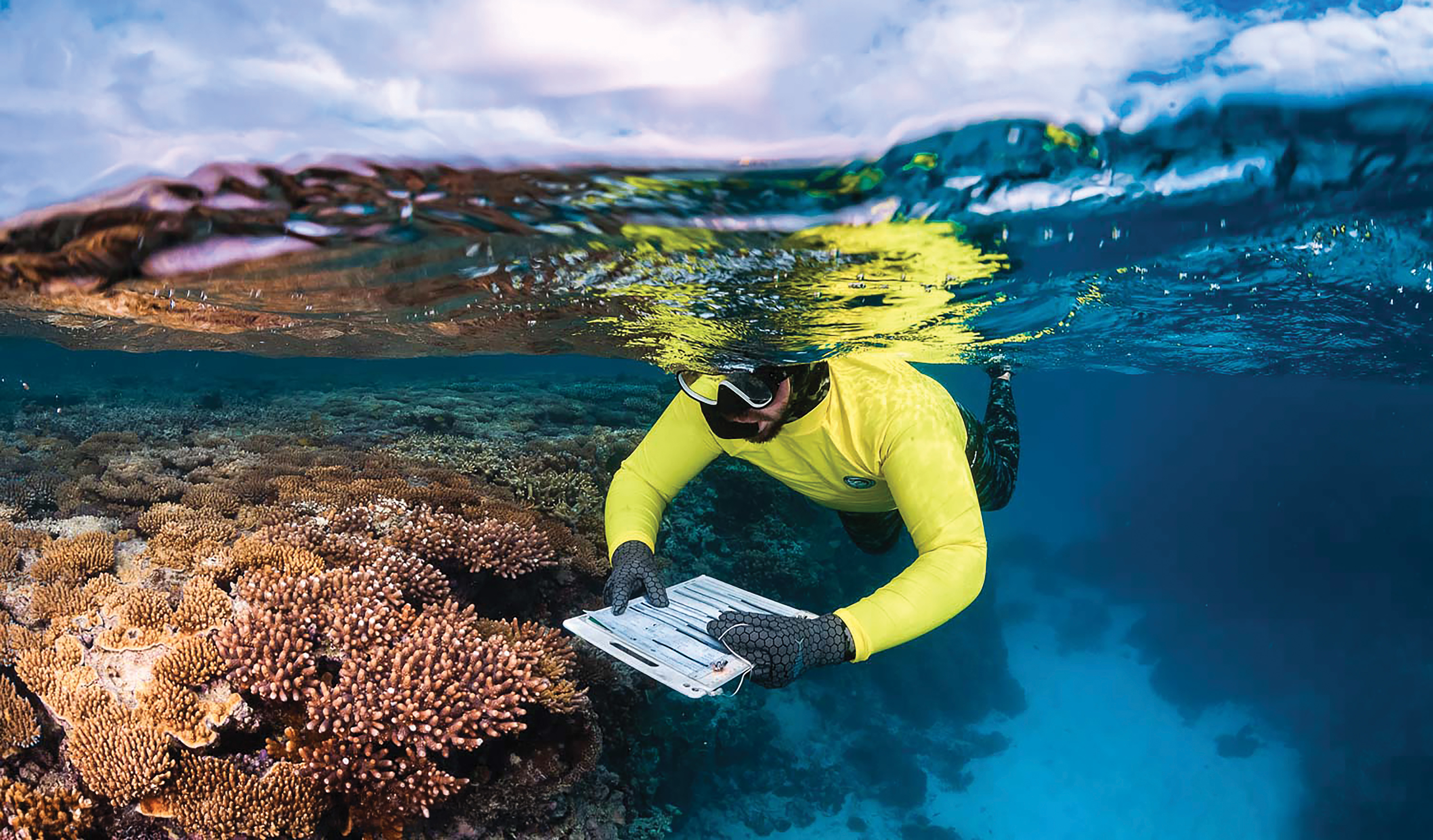 Coral Care - Detail