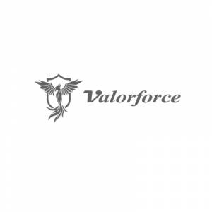 Valorforce