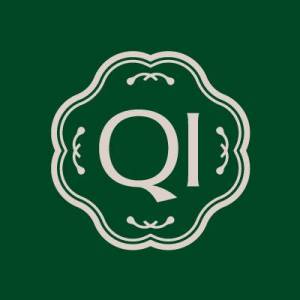 Qi Odyssey