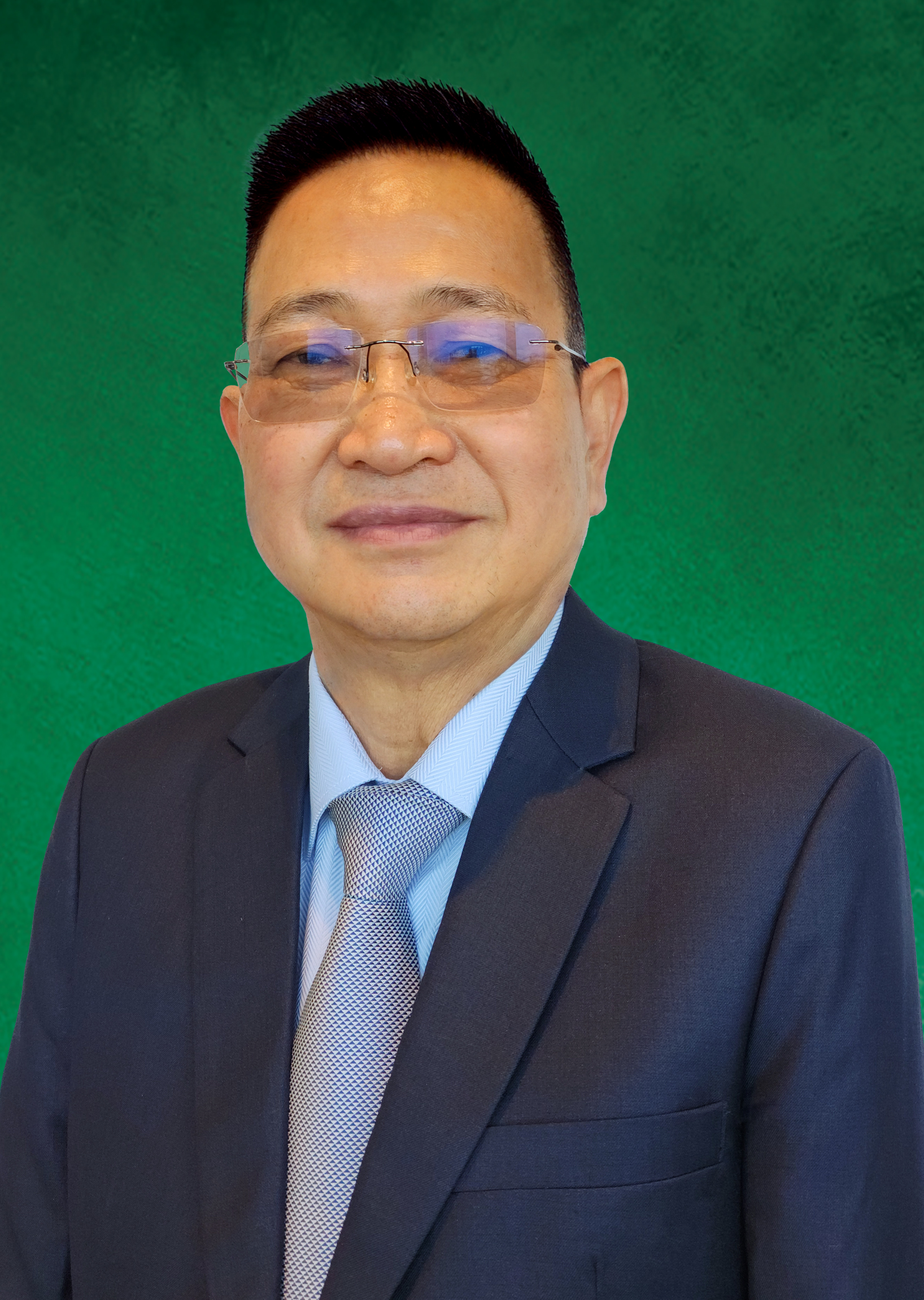 Datuk Tan Mann Chai